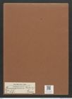 Homoeocladia kotschyi Grun. (de-Toni-Nr.: Genus 48, Species 2191) Zeichnungen Sammlung Grunow Mappe 02404 (Herbarium_W_Grunow_drawings_Folder_02404)